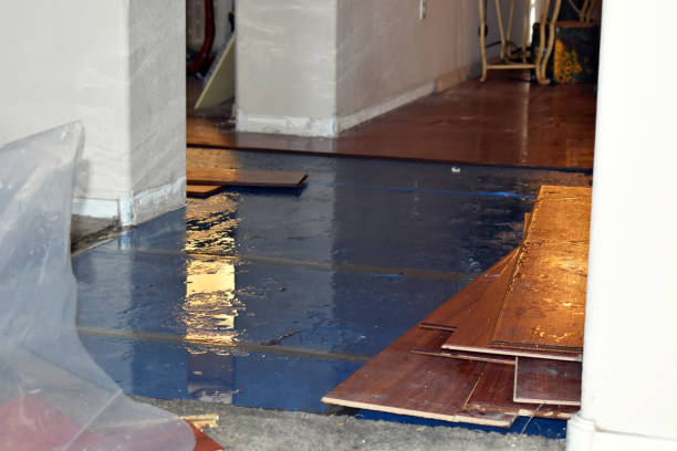 Professional Burst Pipe Cleanup technician working in Tad, WV